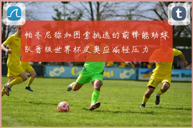 帕齐尼称加图索挑选的前锋能助球队晋级世界杯皮奥应减轻压力